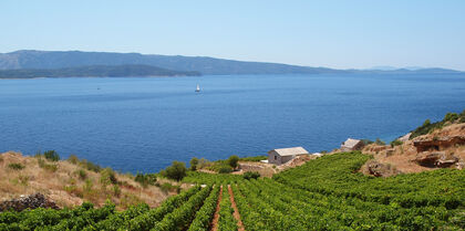 Peljesac Peninsula, Croatia