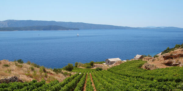 Peljesac Peninsula, Croatia