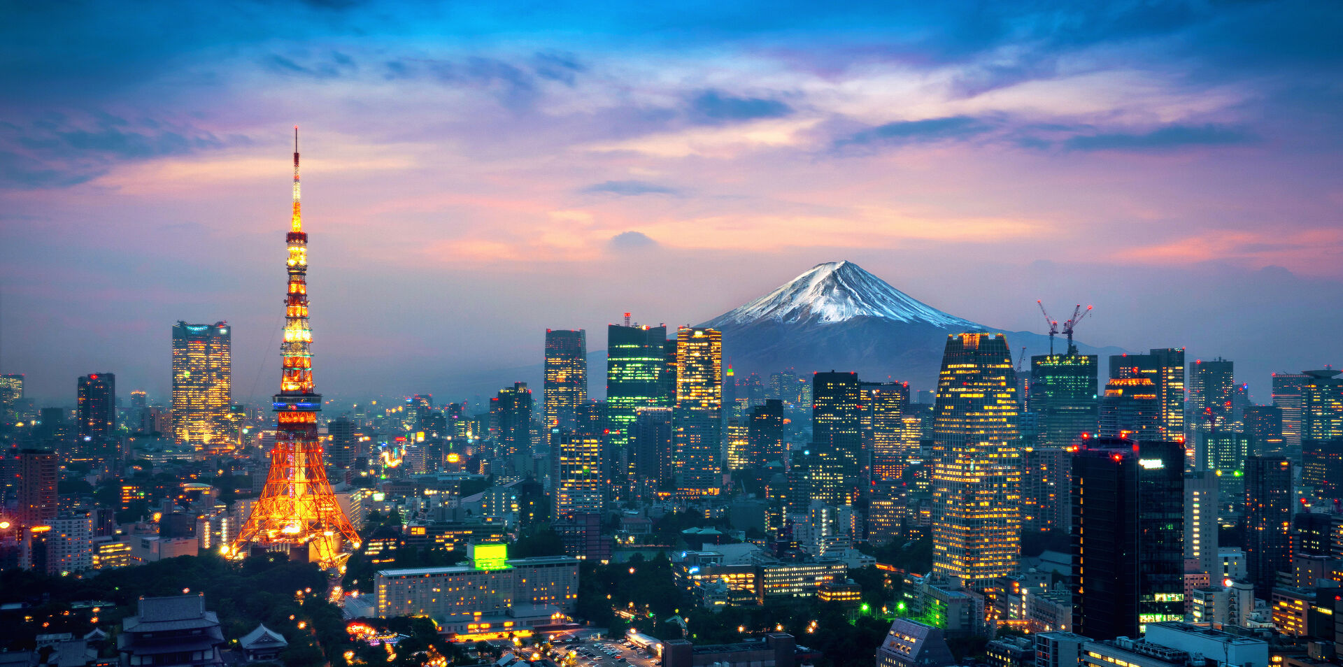 Japan Discovery