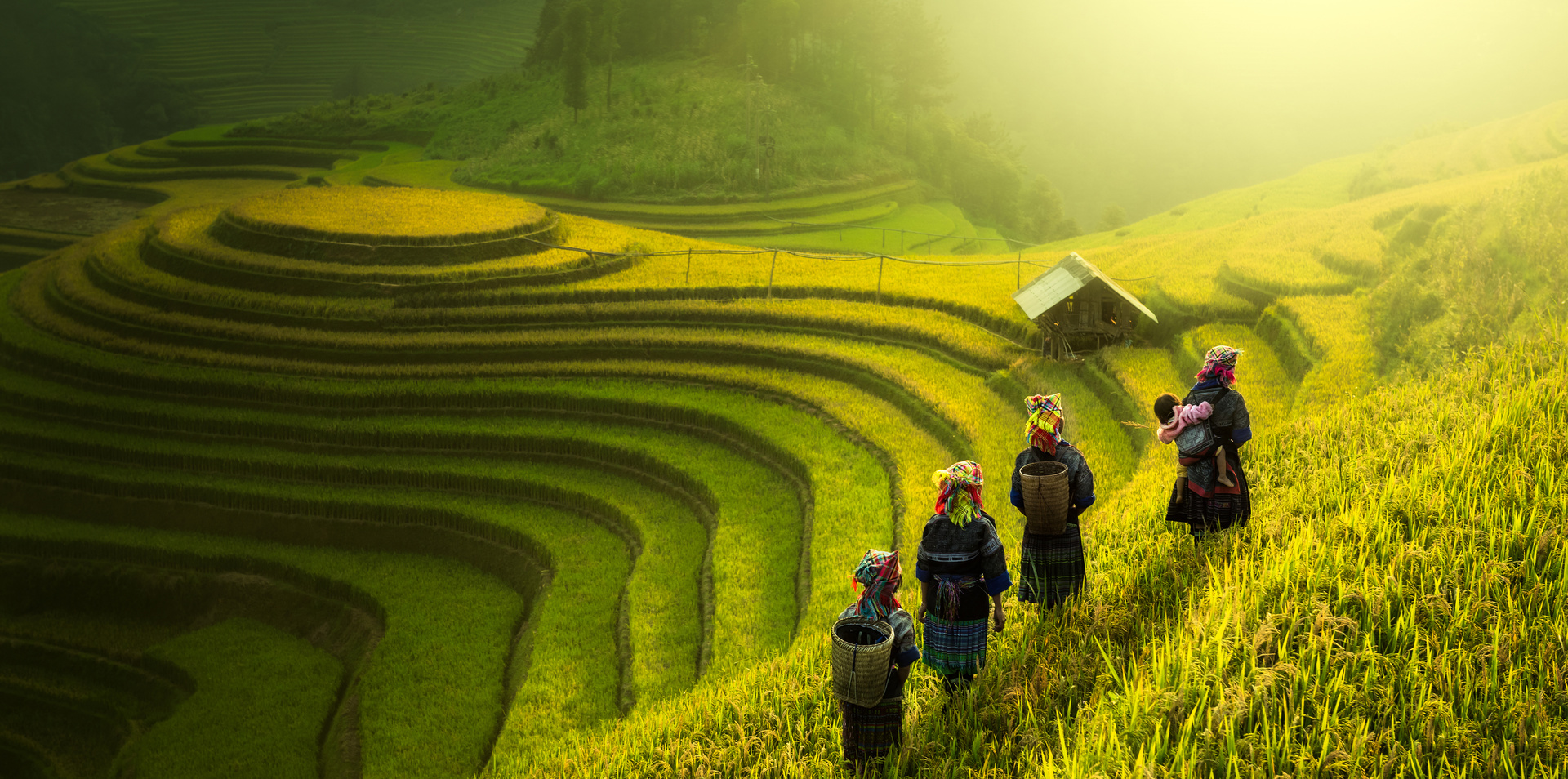 Best of Vietnam and Cambodia 